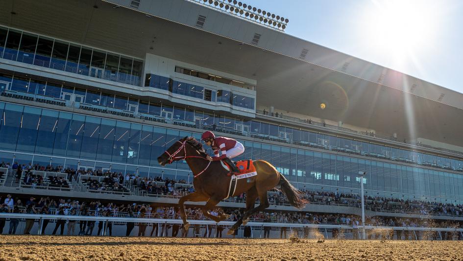 Forever Young, Jockey Club Gold Cup, Belmont Park, horse racing, America's Best Racing, ABR